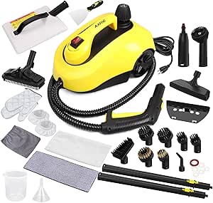 Steam Cleaners