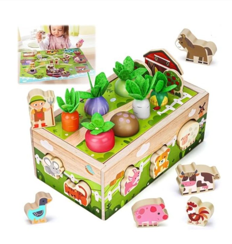 Montessori Wooden Sensory Toddler Toys