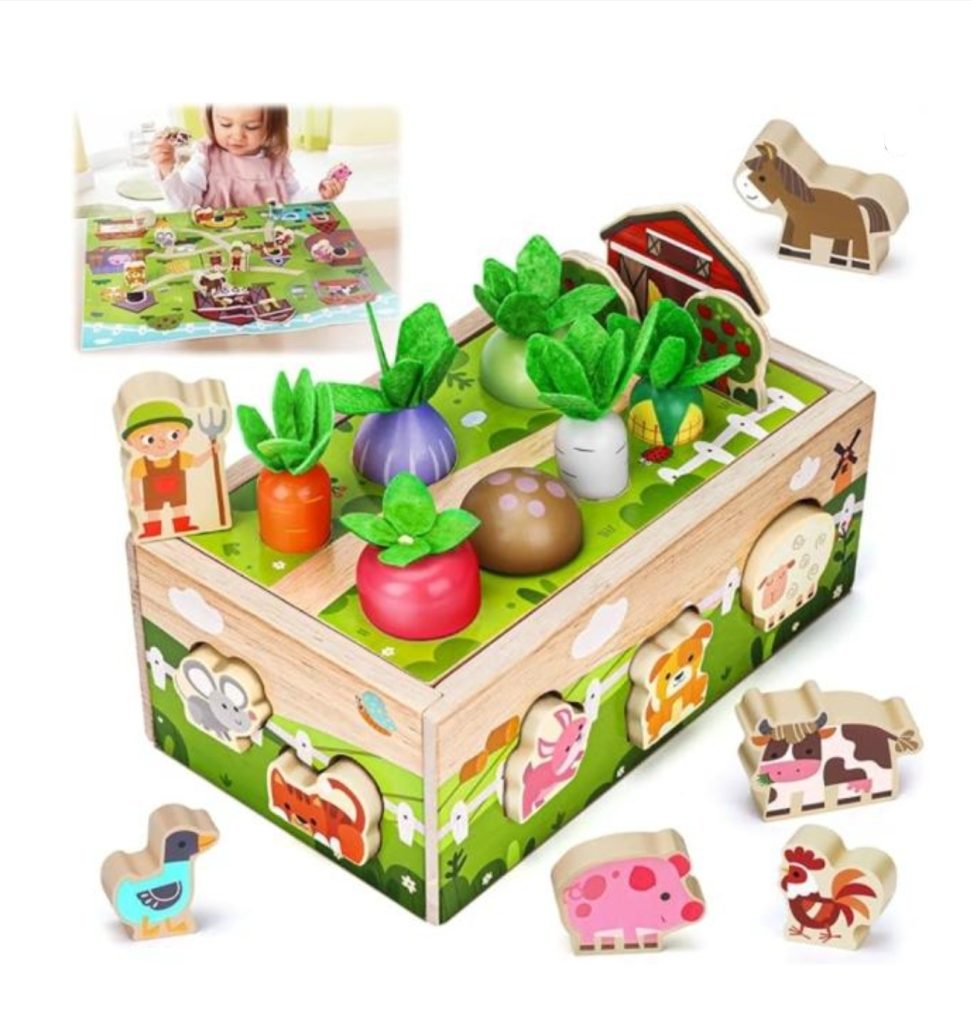 Montessori Wooden Sensory Toddler Toys