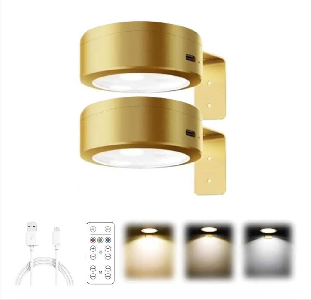 2Pcs Picture Lights for Wall