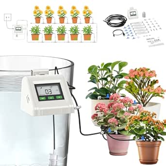Automatic Watering System