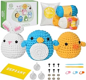 Crochet Kit for Beginners