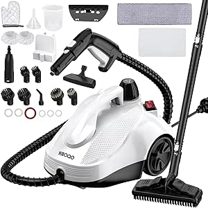 Multi-Purpose Steam Cleaner