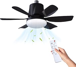Ceiling Fans with Lights