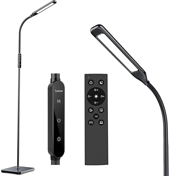  LED Floor Lamp