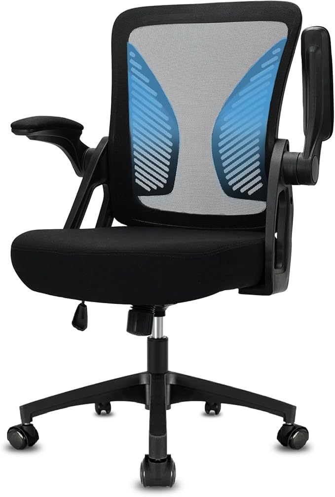 Ergonomic Office Chair