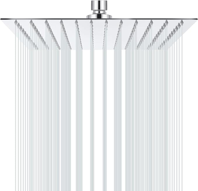 shower head 8 inch