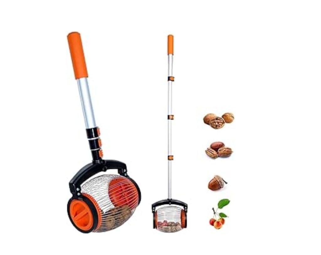 Nut Gatherer