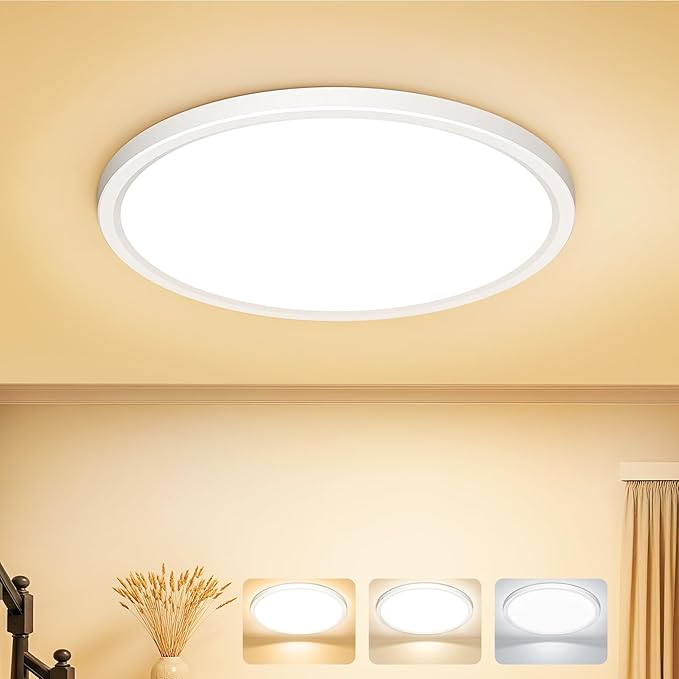  LED Ceiling Light