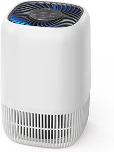 Air Purifier for Bedroom