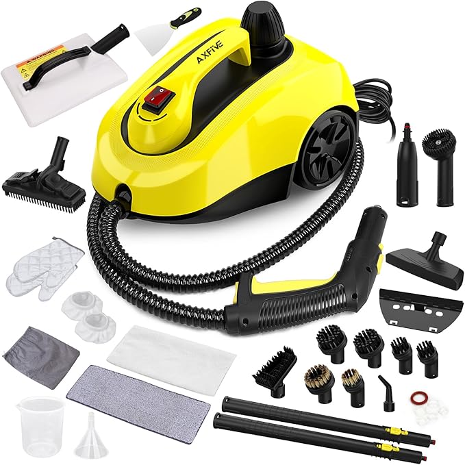 Steam Cleaner