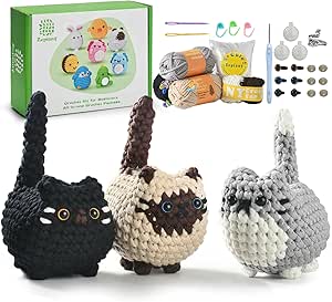 Crochet Kit for Beginners