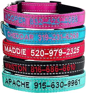 Custom Reflective Dog Collars