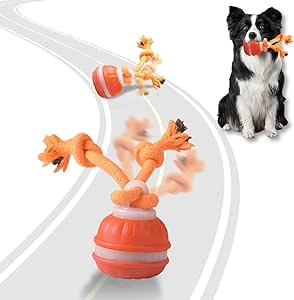 Interactive Dog Toys