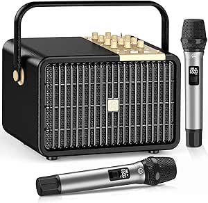 320W Peak Power Karaoke Machine
