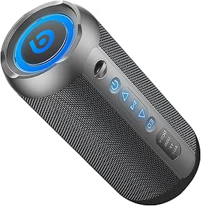 Portable Bluetooth Speaker