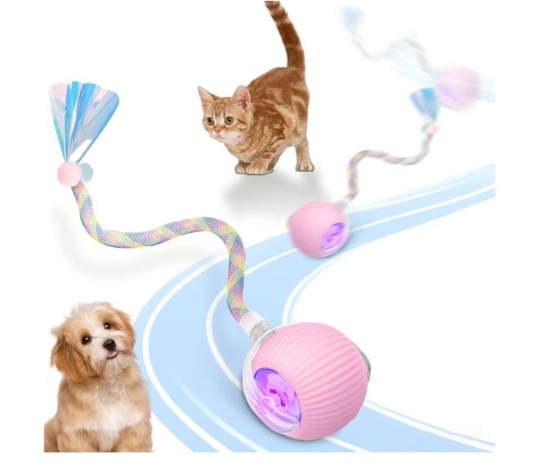 Interactive Cat Toy