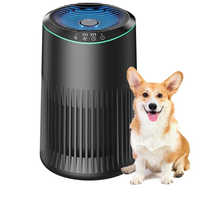 Air Purifiers for Home