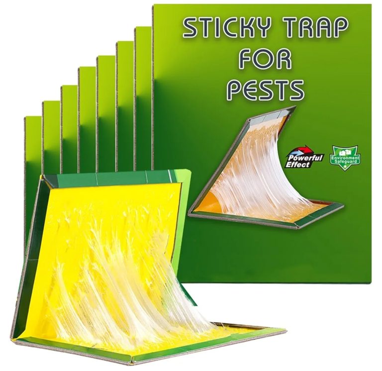 Sticky Pest Trap