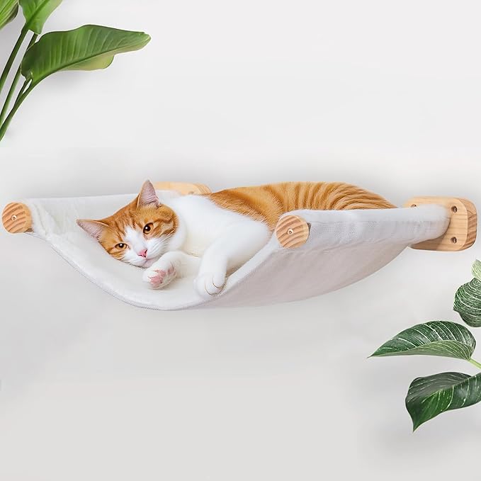 Cat Hammock