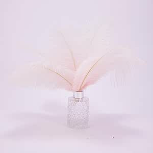 Natural Ostrich Feathers 10pcs