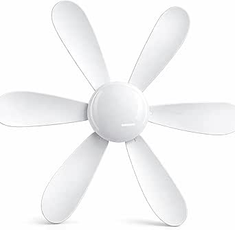 Ceiling Fan Light
