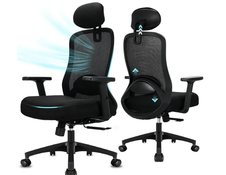 Office Chair with Headrest