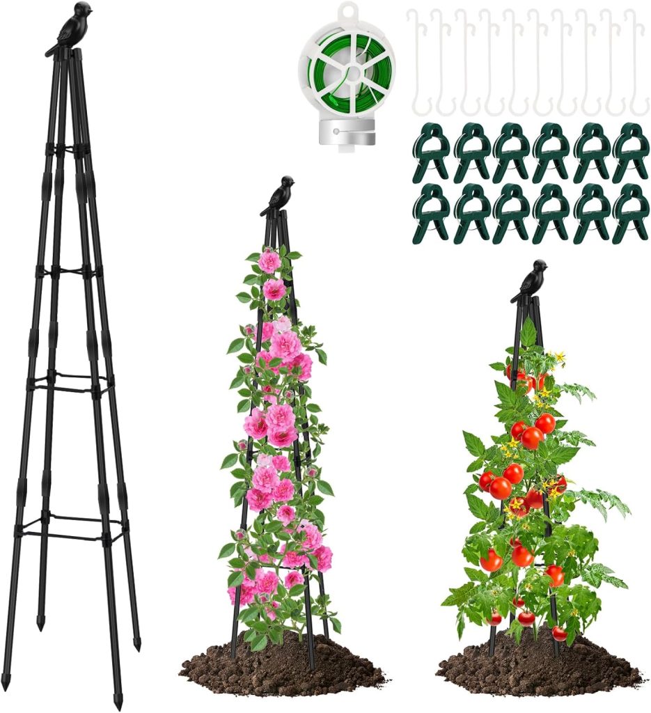  Garden Trellis For Climbing Plants