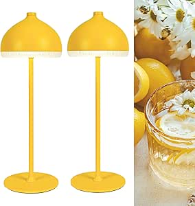 2-Pack Cordless Table Lamp